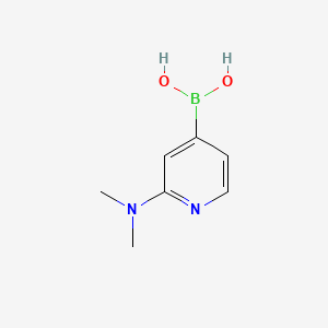 molecular formula C7H11BN2O2 B590804 (2-(二甲氨基)吡啶-4-基)硼酸 CAS No. 1207749-70-9