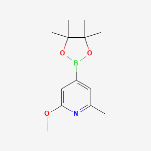 B590806 2-Methoxy-6-methyl-4-(4,4,5,5-tetramethyl-1,3,2-dioxaborolan-2-YL)pyridine CAS No. 1083168-87-9