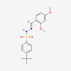 molecular formula C19H24N2O4S B5908735 4-tert-butyl-N'-(2,4-dimethoxybenzylidene)benzenesulfonohydrazide 