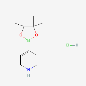 molecular formula C11H21BClNO2 B590886 4-(4,4,5,5-Tetramethyl-1,3,2-dioxaborolan-2-yl)-1,2,3,6-tetrahydropyridine hydrochloride CAS No. 1121057-75-7