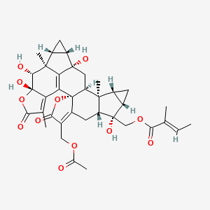 molecular formula C37H42O12 B590906 Sarcandrolide D CAS No. 1207185-03-2