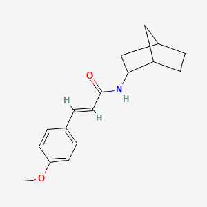 molecular formula C17H21NO2 B5909278 N-bicyclo[2.2.1]hept-2-yl-3-(4-methoxyphenyl)acrylamide 