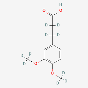 molecular formula C11H14O4 B590946 3-(3,4-二甲氧基-d6-苯基)丙酸-d4 CAS No. 1398065-72-9