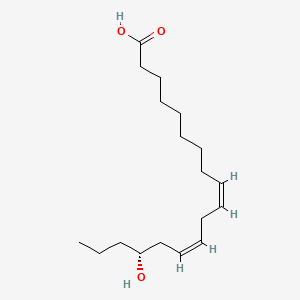 molecular formula C18H32O3 B590960 Avenolsäure CAS No. 177931-23-6