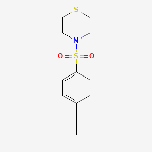 molecular formula C14H21NO2S2 B5910102 4-[(4-tert-butylphenyl)sulfonyl]thiomorpholine 
