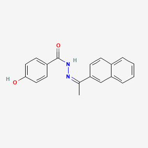 molecular formula C19H16N2O2 B5911348 4-hydroxy-N'-[1-(2-naphthyl)ethylidene]benzohydrazide 