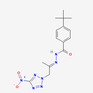 4-tert-butyl-N'-[1-methyl-2-(5-nitro-2H-tetrazol-2-yl)ethylidene]benzohydrazide