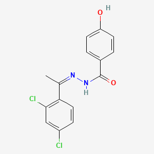 molecular formula C15H12Cl2N2O2 B5912579 N'-[1-(2,4-dichlorophenyl)ethylidene]-4-hydroxybenzohydrazide 