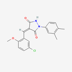 molecular formula C19H17ClN2O3 B5912648 4-(5-chloro-2-methoxybenzylidene)-1-(3,4-dimethylphenyl)-3,5-pyrazolidinedione 