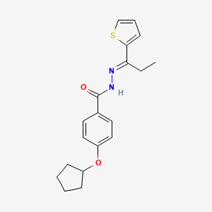 molecular formula C19H22N2O2S B5913097 4-(cyclopentyloxy)-N'-[1-(2-thienyl)propylidene]benzohydrazide 