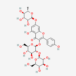 Kaempferol 3-sophoroside 7-rhamnoside