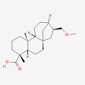 molecular formula C21H34O3 B591427 Siegesmethyethericacid CAS No. 196399-16-3