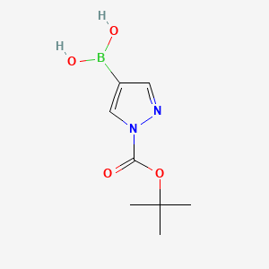 molecular formula C8H13BN2O4 B591458 Ácido 1-terc-butoxicarbonil-1H-pirazol-4-borónico CAS No. 1188405-87-9