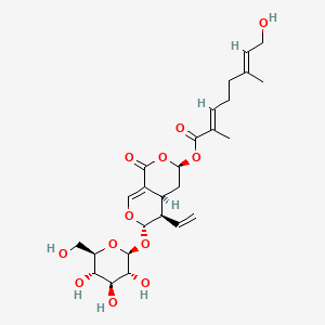molecular formula C26H36O12 B591461 Exaltoside CAS No. 135681-06-0