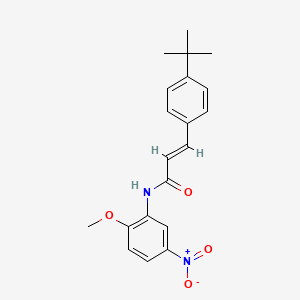 molecular formula C20H22N2O4 B5915003 3-(4-tert-butylphenyl)-N-(2-methoxy-5-nitrophenyl)acrylamide 