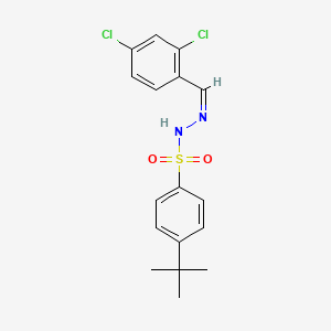 molecular formula C17H18Cl2N2O2S B5915433 4-tert-butyl-N'-(2,4-dichlorobenzylidene)benzenesulfonohydrazide 