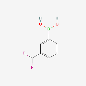 molecular formula C7H7BF2O2 B591620 (3-(Difluoromethyl)phenyl)boronic acid CAS No. 854690-87-2
