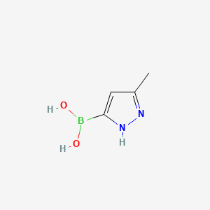 molecular formula C4H7BN2O2 B591762 (5-甲基-1H-吡唑-3-基)硼酸 CAS No. 1163248-54-1