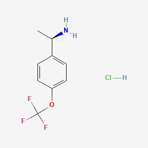 molecular formula C9H11ClF3NO B591838 (R)-1-(4-(三氟甲氧基)苯基)乙胺盐酸盐 CAS No. 1208989-29-0