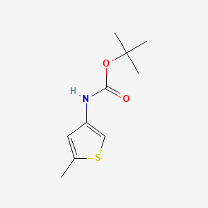 molecular formula C10H15NO2S B592158 叔丁基(5-甲基噻吩-3-基)氨基甲酸酯 CAS No. 1251734-12-9