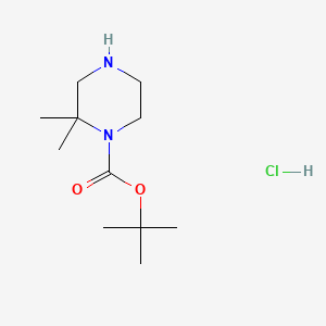 molecular formula C11H23ClN2O2 B592189 tert-Butyl 2,2-dimethylpiperazine-1-carboxylate hydrochloride CAS No. 1624260-26-9