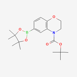 molecular formula C19H28BNO5 B592330 tert-Butyl 6-(4,4,5,5-tetramethyl-1,3,2-dioxaborolan-2-yl)-2H-benzo[b][1,4]oxazine-4(3H)-carboxylate CAS No. 1161362-35-1