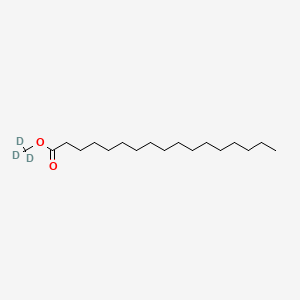 molecular formula C18H36O2 B592404 十七酸甲酯-d3 CAS No. 209627-97-4
