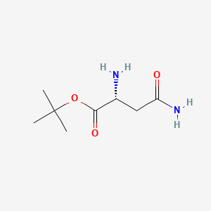 molecular formula C8H16N2O3 B592761 D-Asparagine tert-butyl ester CAS No. 72287-71-9
