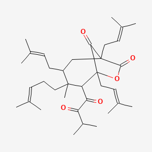 molecular formula C35H52O5 B592787 Perforatumone CAS No. 827319-50-6