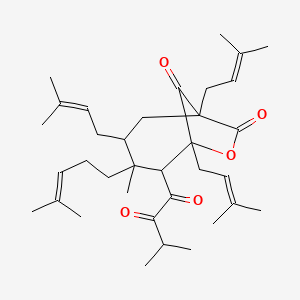 molecular formula C35H52O5 B592787 Perforatumon CAS No. 827319-50-6