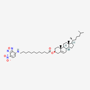 molecular formula C45H70N4O5 B592792 3-Dodecanoyl-nbd-cholesterol CAS No. 1246303-05-8