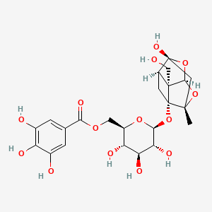 molecular formula C23H28O14 B592972 Debenzoylgalloylpaeoniflorin CAS No. 262350-51-6