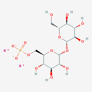 molecular formula C12H21K2O14P B593222 Trehalose 6-phosphate dipotassium salt CAS No. 136632-28-5