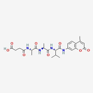 molecular formula C25H32N4O8 B593359 Suc-Ala-Ala-Val-Amc CAS No. 128972-90-7