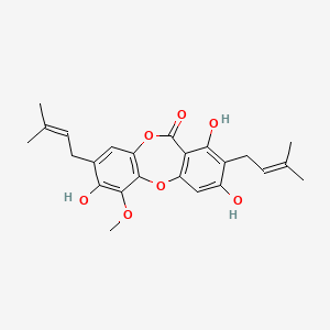 molecular formula C24H26O7 B593403 Paucinervin A CAS No. 1243249-16-2