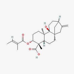 3alpha-Tigloyloxypterokaurene L3