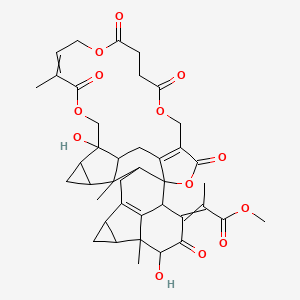 molecular formula C40H44O13 B593543 Shizukaol B CAS No. 142279-40-1