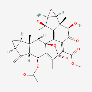 molecular formula C33H36O9 B593550 Chlorahololide C CAS No. 1007859-25-7