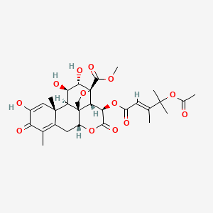 molecular formula C30H36O13 B593635 (+)-去氢布鲁森醇 CAS No. 99132-99-7