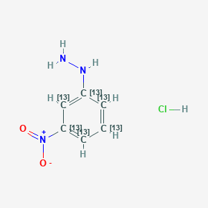 molecular formula [13C]6H7N3O2 B593730 13C6-3-Nitrophenylhydrazine (hydrochloride) CAS No. 1977535-33-3