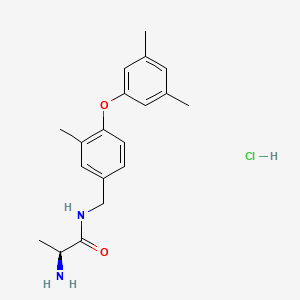 molecular formula C19H25ClN2O2 B593814 SGC2085 HCl CAS No. 1821908-49-9