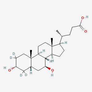 molecular formula C24H36D4O4 B593820 熊去氧胆酸-2,2,4,4-D4 CAS No. 347841-46-7