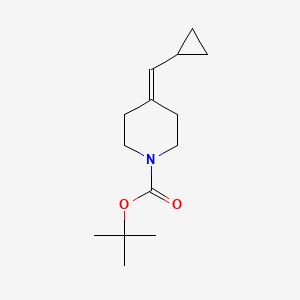 molecular formula C14H23NO2 B593906 叔丁基 4-(环丙基亚甲基)哌啶-1-羧酸酯 CAS No. 1241725-69-8