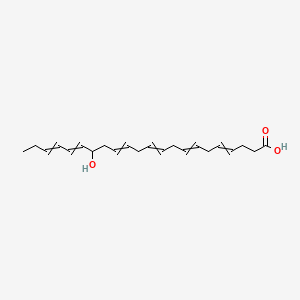 molecular formula C22H32O3 B593941 16-Hydroxydocosa-4,7,10,13,17,19-hexaenoic acid CAS No. 90780-51-1