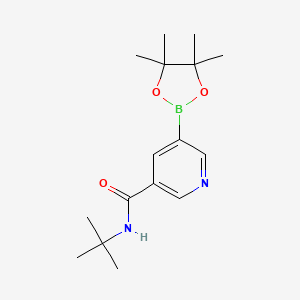 molecular formula C16H25BN2O3 B593959 N-(tert-Butyl)-5-(4,4,5,5-tetramethyl-1,3,2-dioxaborolan-2-yl)nicotinamide CAS No. 1218790-03-4