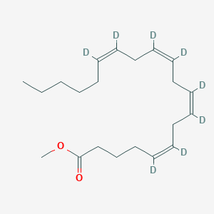 molecular formula C21H34O2 B593977 花生四烯酸甲酯-d8 CAS No. 19245-55-7