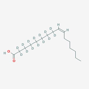 molecular formula C16H30O2 B594036 棕榈油酸-d14 CAS No. 184708-66-5