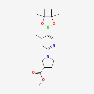 molecular formula C18H27BN2O4 B594078 Methyl 1-(4-methyl-5-(4,4,5,5-tetramethyl-[1,3,2]dioxaborolan-2-yl)pyridin-2-yl)pyrrolidine-3-carboxylate CAS No. 1353745-97-7