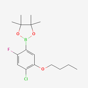 molecular formula C16H23BClFO3 B594096 2-(5-丁氧基-4-氯-2-氟苯基)-4,4,5,5-四甲基-1,3,2-二氧杂硼环丁烷 CAS No. 1256360-19-6