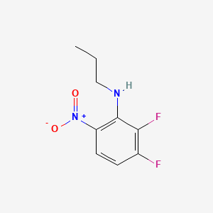 molecular formula C9H10F2N2O2 B594118 N-丙基 2,3-二氟-6-硝基苯胺 CAS No. 1250052-21-1